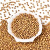 Picasso Baking Paint Glass Seed Beads SEED-N007-35B-2