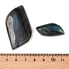 Import Natural Labradorite Cabochons G-T138-206-3