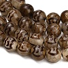 Tibetan Style dZi Beads Strands GG-CBA4812-B04-10MM-4