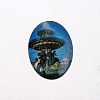 Photo Glass Oval Cabochons LS-X-GGLA-N003-30x40-F32-1