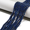 Dyed Natural Lapis Lazuli Beads Strands G-G143-A01-01-2