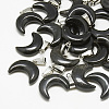 Natural Black Agate Pendants G-S294-09A-01-1