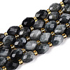 Natural Eagle Eye Stone Beads Strands G-N342-35-8x6-03-2