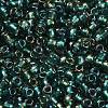 TOHO 6/0 Round Beads X-SEED-TR06-0270-3