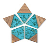 Transparent Resin & Walnut Wood Pendants X-RESI-S389-012A-B03-1