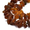 Natural Amber Beads Strands G-E576-61-3