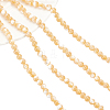  Natural Trochid Shell/Trochus Shell Beads Strands SSHEL-NB0001-34-1