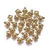 Tibetan Style Alloy Beads LS-GLF0240Y-NF-2