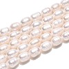 Natural Cultured Freshwater Pearl Beads Strands PEAR-T006-19B-2
