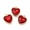 Faceted Glass Rhinestone Pendants GLAA-I051-B16-2