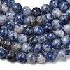 Natural Blue Spot Jasper Beads X-GSR4mmC036-5