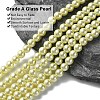 Eco-Friendly Dyed Glass Pearl Round Beads Strands HY-A008-6mm-RB012-2