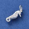 925 Sterling Silver Sea Animal Sea Horse Charms STER-E071-02S-05-2