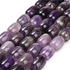 Natural Amethyst Beads Strands G-H319-A02-03-2