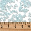 Ceylon Glass Seed Beads SEED-K009-02B-33-4