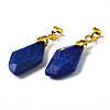 Natural Lapis Lazuli Pendants G-Q998-008A-3