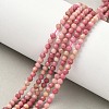 Natural Rhodonite Beads Strands G-P553-G06-02A-2
