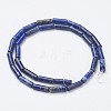 Natural Lapis Lazuli Beads Strands G-G968-F04-2