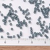 MIYUKI Delica Beads X-SEED-J020-DB0387-4