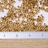 MIYUKI Delica Beads Small X-SEED-J020-DBS0181-4