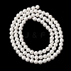 Round Shell Pearl Bead Strands LS-BSHE-L011-4mm-A013A-4