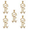 5Pcs Rack Plating Brass Micro Pave Cubic Zirconia Pendants ZIRC-SZ0003-73-1