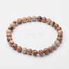 Natural Picture Jasper Beaded Stretch Bracelets BJEW-F202-03-1