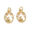 Brass Micro Pave Clear Cubic Zirconia Charms CU-CBAF0F8-16E-G-1