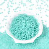 FGB Frosted Transparent Glass Seed Beads SEED-N013-02A-10-2