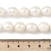Natural Edison Pearl Beads Strands PEAR-B004-01A-03A-5