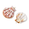Natural Scallop Shell Copper Wire Wrapped Pendants PALLOY-TA00418-2