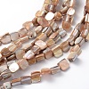 Erose Shell Beads Strands PBB071Y-1