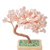 Heart Money Tree Natural Rose Quartz Bonsai Display Decorations DJEW-G027-16RG-03-4