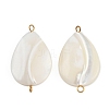 Natural Shell Teardrop Connector Charms X1-STAS-D378-28G-1
