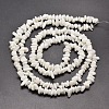 Opaque Glass Chip Beads Strands G-M205-25-2