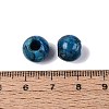 Natural Blue Agate(Dyed & Heated) European Beads G-Q607-02K-3
