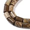 Natural Picture Jasper Beads Strands G-C128-A29-01-3