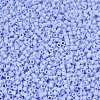 MIYUKI Delica Beads LS-X-SEED-J020-DB1596-3