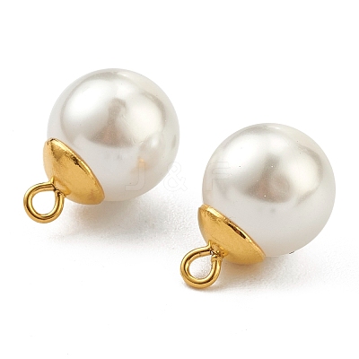 304 Stainless Steel Charms STAS-Z009-02B-G-1