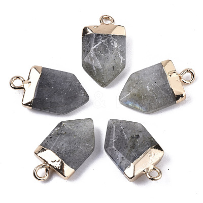 Natural Labradorite Pointed Pendants X-G-N326-34C-1