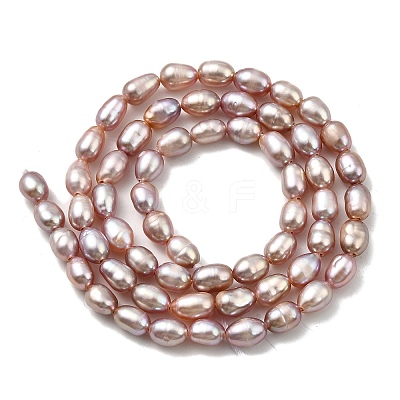 Natural Cultured Freshwater Pearl Beads Strands PEAR-I007-01P-04B-1