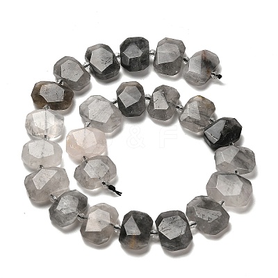 Natural Cloudy Quartz Beads Strands G-H078-B17-01-1
