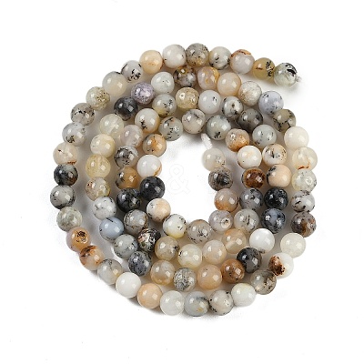 Natural White African Opal Beads Strands G-H062-A06-05-1