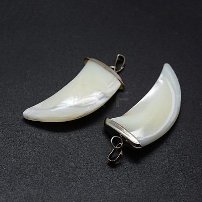 Shell Pendants SSHEL-E564-17P-1