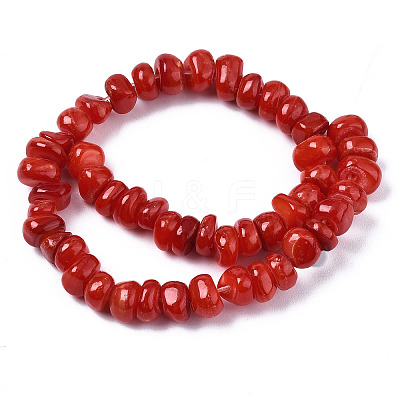 Natural Freshwater Shell Beads Strands X-SHEL-S278-041-1
