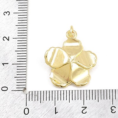 Brass Micro Pave Clear Cubic Zirconia Pendants KK-CBADB87-14A-G-1
