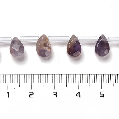 Natural Amethyst Beads Strands G-Q167-A04-02-1