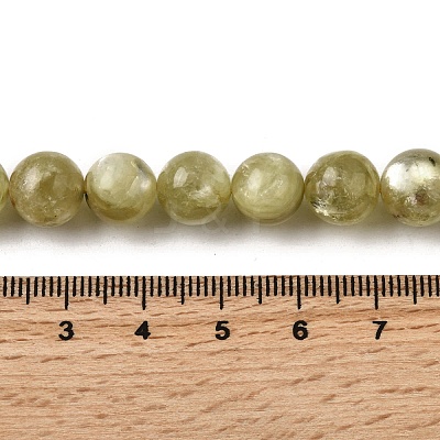 Natural Lepidolite Beads Strands G-F799-B02-10mm-1