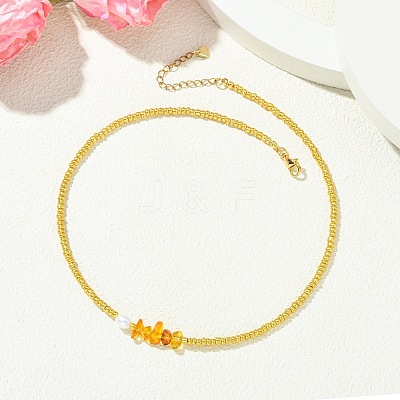 Women's Natural Amber Necklaces NJEW-JN06110-1