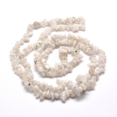 Natural Rainbow Moonstone Chip Bead Strands G-M205-62-1